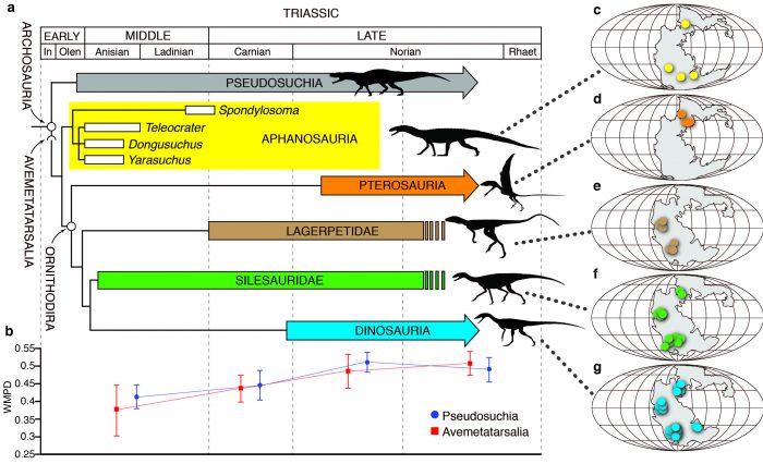 Palaeocast | Palaeontology podcasts