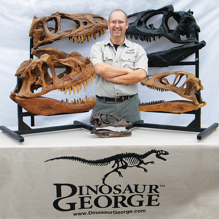 dinosaur george store